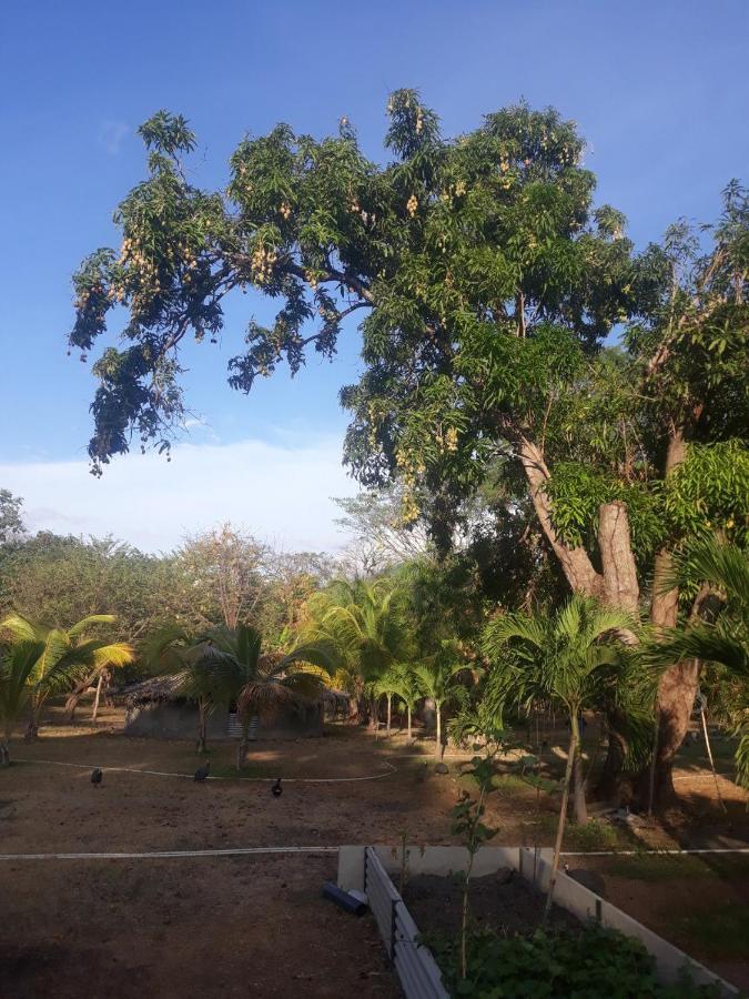 הוסטל מויוגאלפה Rancho Tranquillo מראה חיצוני תמונה