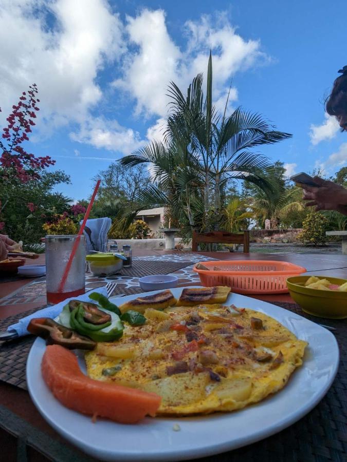 הוסטל מויוגאלפה Rancho Tranquillo מראה חיצוני תמונה
