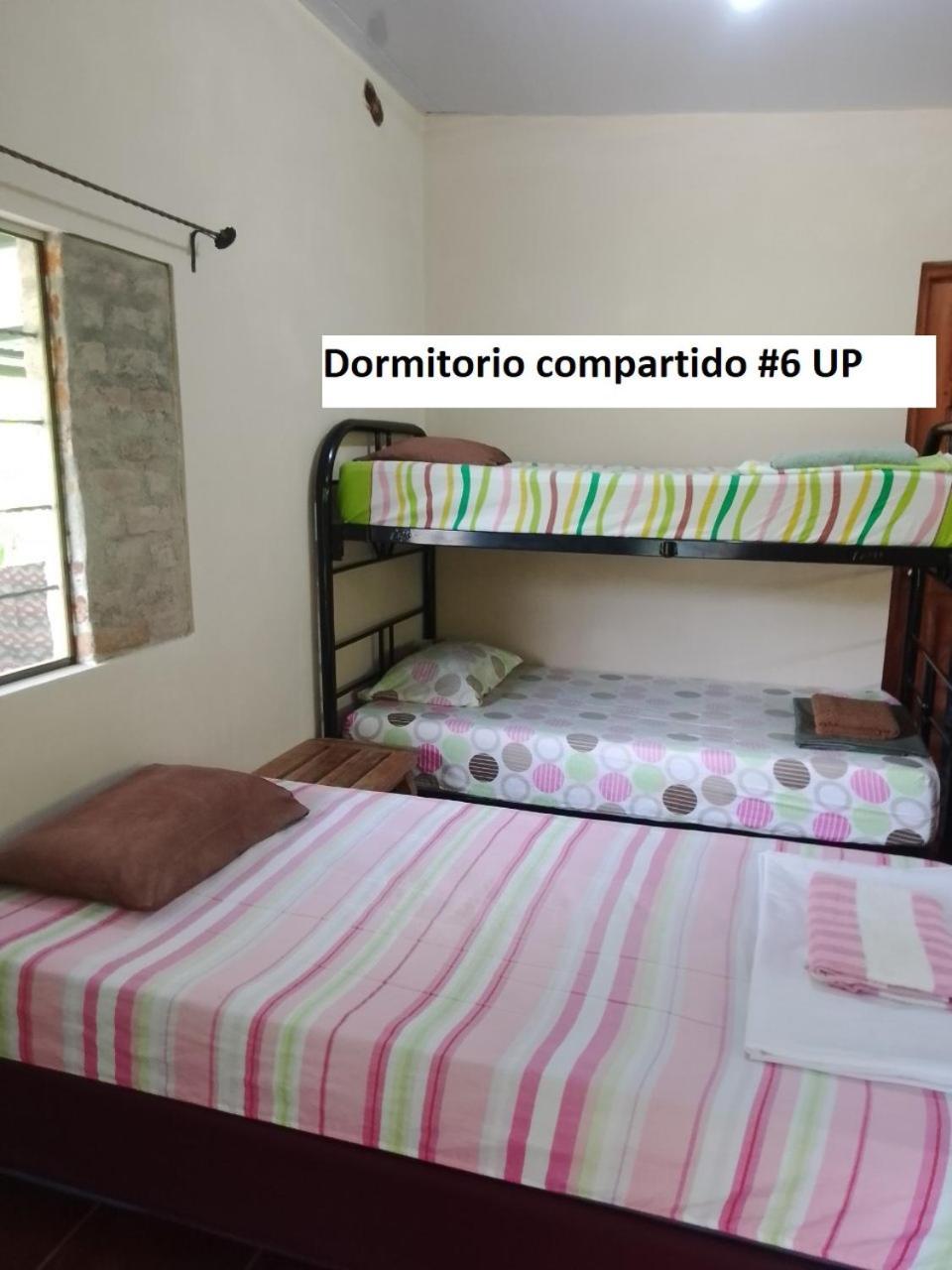 הוסטל מויוגאלפה Rancho Tranquillo חדר תמונה